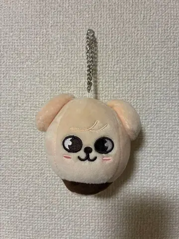 Stray kids PuppyM 백참