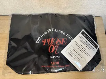 TREASURE PULSE ON 업그레이드 혜택 백