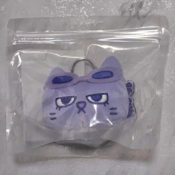 BOYNEXETDOOR 보넥도 테산 보넥도 한정판 키링