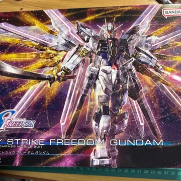 마이티 스트라이크 프리덤 건담 프라모델