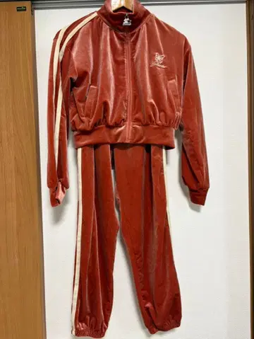 버터플라이 자수 벨벳 셋업