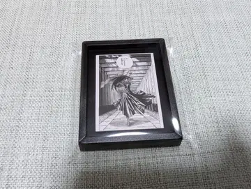 사카모토 데이즈 코마코레 다이부츠