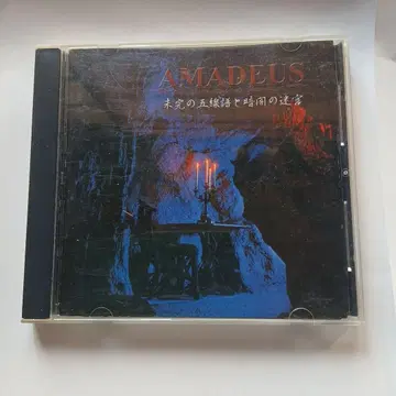 AMADEUS 미완의 오선율과 어둠의 미궁 아마데우스