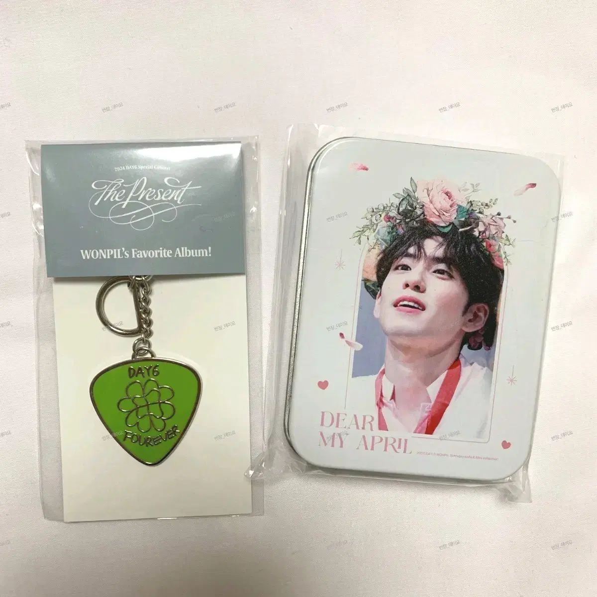 DAY6 | 데이식스 (Bulk) Day6 Metal Pick Keyring Wonpil Gift Concert