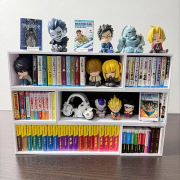 미니북용 디스플레이 책장