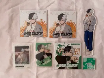 사쿠라 하루카 WINDBREAKER 윈브레 마네키네코