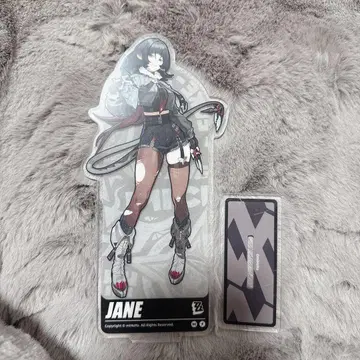 젠레스 존 제로 젠제로 제인 아크릴 스탠드 전신 일러스트 공식 정품