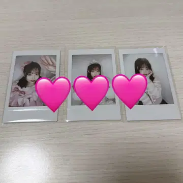 사쿠라바 하루카 폴라로이드