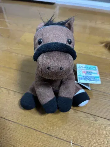 아이돌 호스 M 사이즈 에프포리아