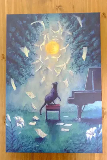 [ 요루시카 ] 달과 고양이의 댄스 초회 한정판 Blu-ray