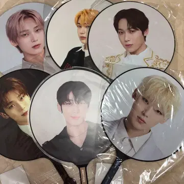 enhypen 선우 부채 6개 세트