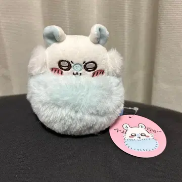 치이카와 (먼작귀) 폭신폭신 모몽가