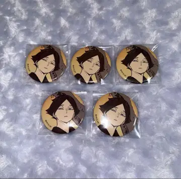 하이큐 배구 사계절 풍경 카게야마 린타로 캔뱃지