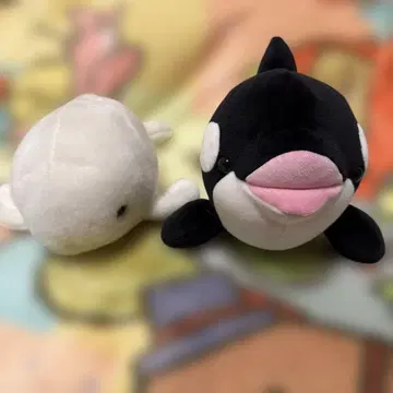 KOBE SUMA SEA WORLD 범고래와 미야지마 수족관 봉제 인형