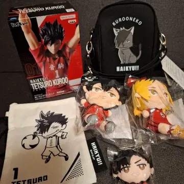 미개봉 하이큐 쿠로오 테츠로 피규어 쿠로네코 덕질 클리어 파우치