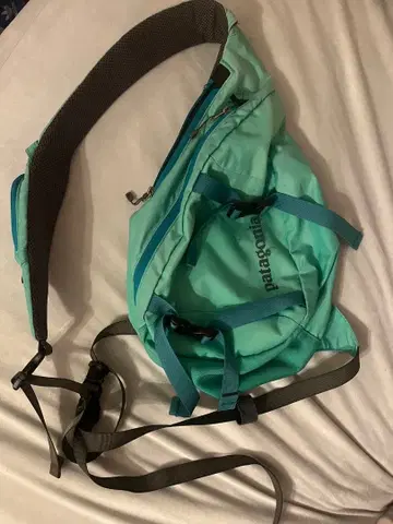 patagonia 슬링백 민트 그린