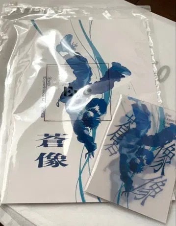 Eve 창조 엽서 & 팜플렛