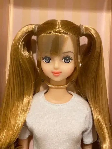 리카짱 캐슬 2023년 고베 산노미야 BASIC 제니 프렌드 H 나나코