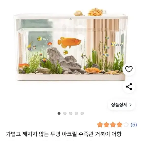 물고기 어항
