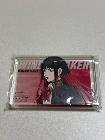 WINDBREAKER 츠바키노 유 아크릴 블록