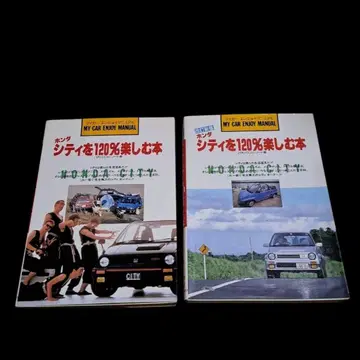 마이카 엔조이 매뉴얼 시티 120% 즐기기 보통 개정판 세트