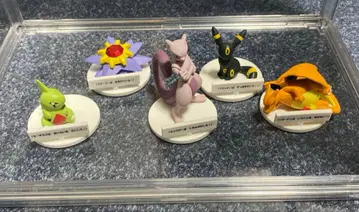 말을 듣지 않아 말을 듣지 않아! 포켓몬 리자몽 포켓몬 센터 한정판