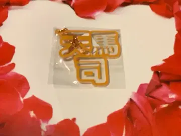 프로세카 입체 네임 아크릴 키링 텐마 츠카사