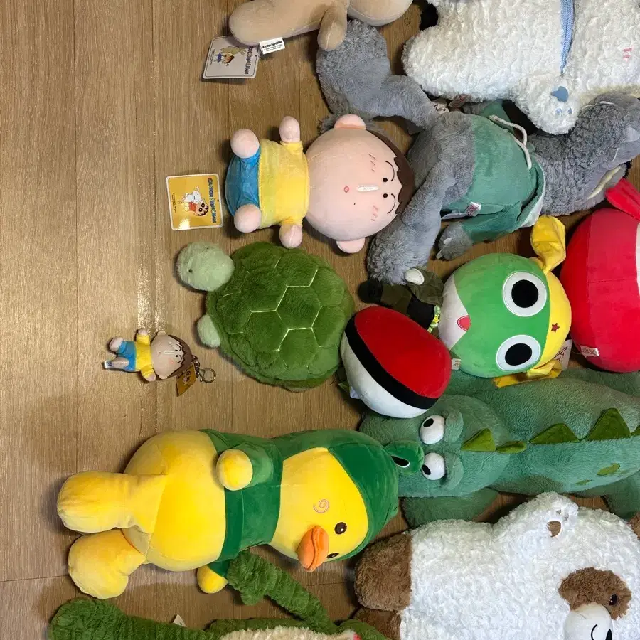 SS grade medium character doll bulk #피카츄,#이브이,#산리오,#오로라핑,#하츄핑 on Bunjang  Global Site.