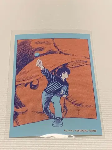 COFFEE 남풍 청춘의 카페 카레 브로마이드 카즈야 아다치 미츠루전