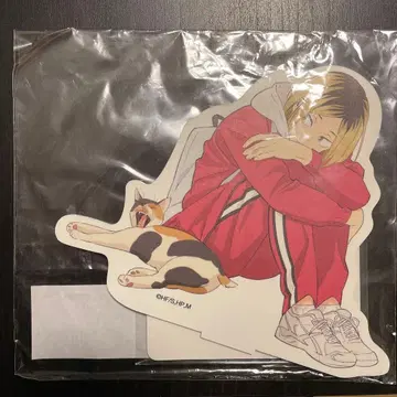 하이큐 타쿠스타츠 코즈메 켄마 코즈메 네코마 점프 페스타 점페스