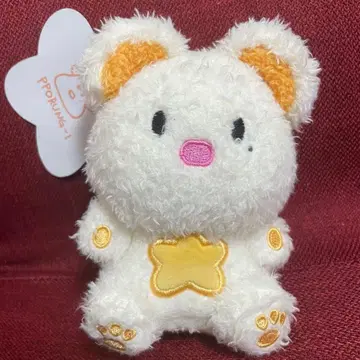 EVNNE EVNNIZ 이브니즈 승언 포름이