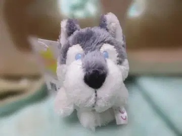 NICI 니키 bb 시베리안 허스키 키링 10cm 강아지 정품