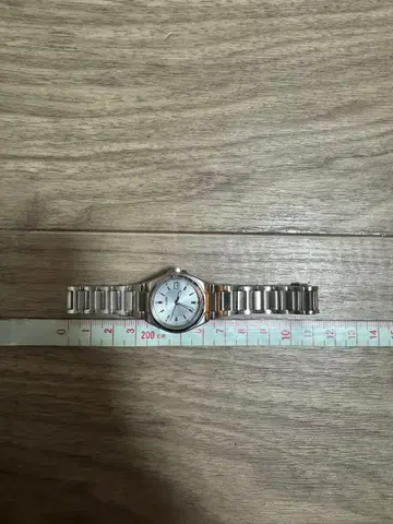 시티즌 에코드라이브 GN-4W-S 실버 손목시계