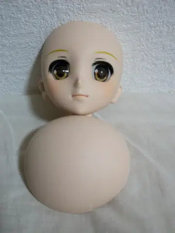 보크스 돌피드림 DD 페이트 헤드 아이 뚜껑 파손