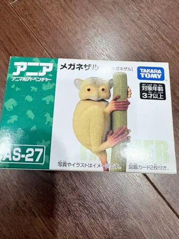 아니아 안경원숭이 [ 단종 ]