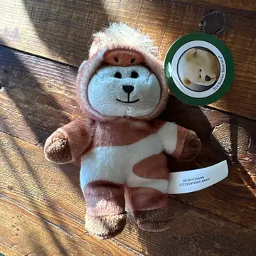 새상품 귀여운 얼굴 온라인 완판 베어리스타 우마 Mini