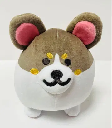 매일 한 마리 BIG 봉제 인형 블랙 코기 강아지 코기