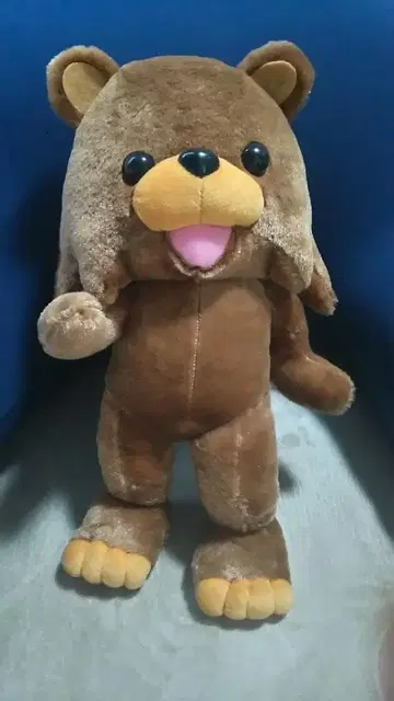 쿠마의 BIG 봉제 인형 택 포함