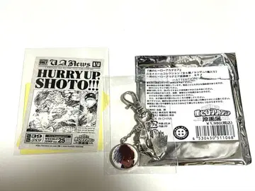 히로아카 원화전 토도로키 쇼토 합금 참