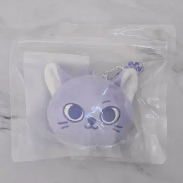 BOYNEXETDOOR 보넥도 손호 푸넥도 케피 키링