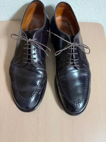 초레어! ALDEN Anatomica 5610 쉘 코도반