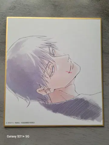 주술회전전 후시구로 토우지 미니 색지