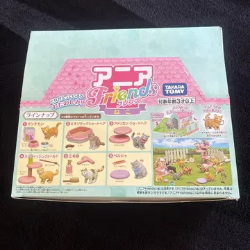 아니아 Friends 고양이