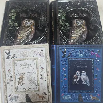 칼디 마법 사전 부엉이 검은 고양이 케이스 수납 세트