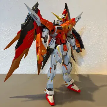 METAL BUILD 하이네기 데스티니 건담
