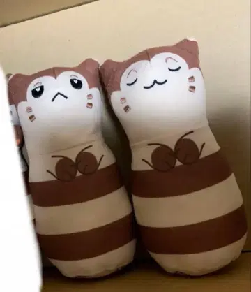 포켓몬 센터 한정판 노려라! 오오타치 겟