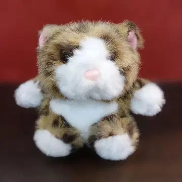 이리오모테삵 봉제 인형