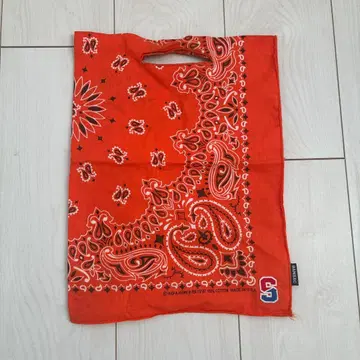 THESHINZONE 별주 BANSAC 오렌지