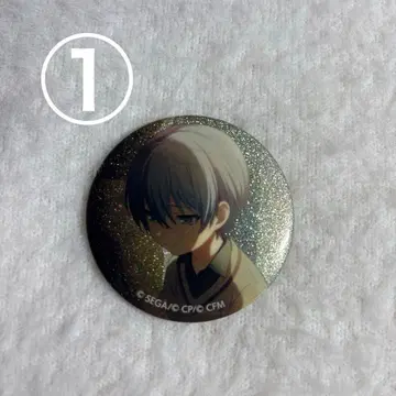 아오야기 토야 카라페스 특훈 전 캔뱃지