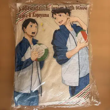 하이큐 오이카와 토오루 카게야마 토비오 쿠션